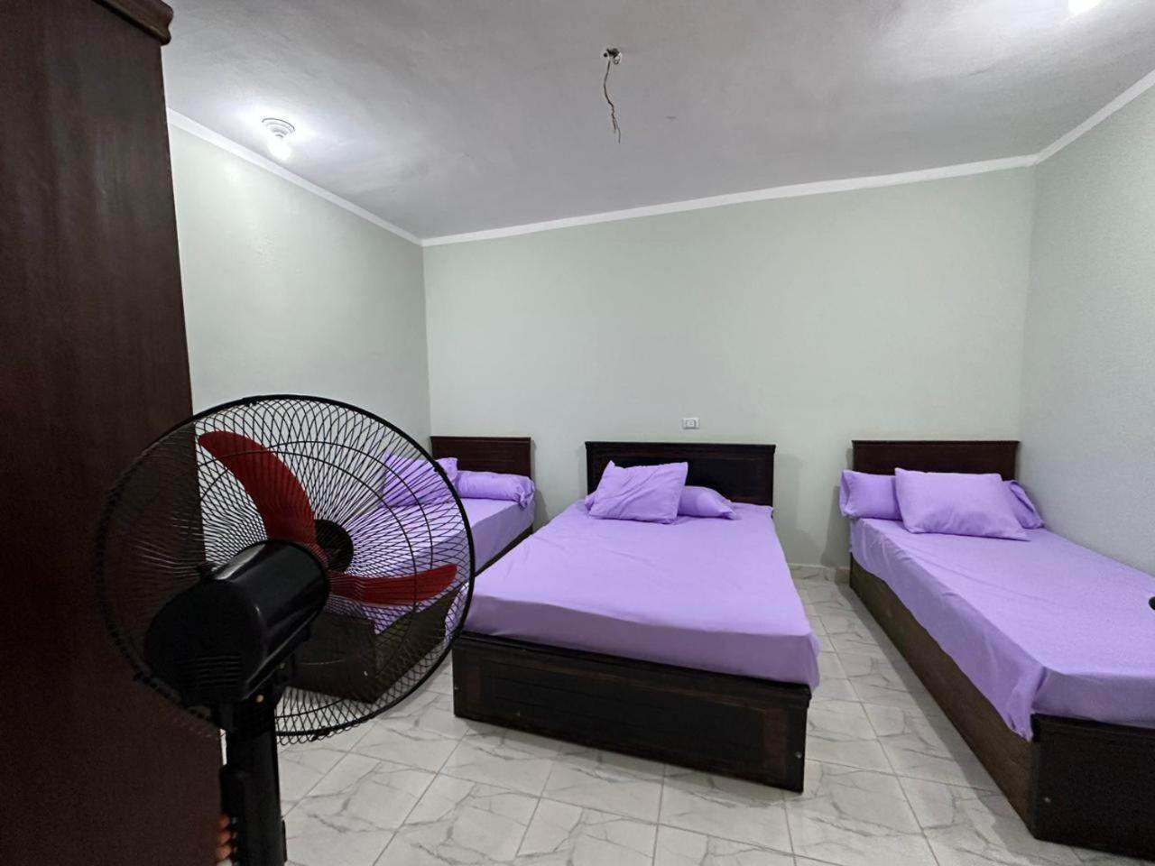 הורגהדה Skylen Hostel מראה חיצוני תמונה